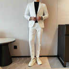 Men's Slim Fit Two Piece Suit